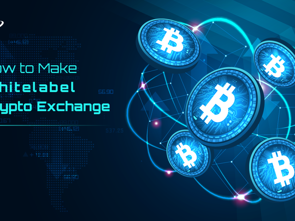 White Label Crypto Exchange development Company - LBM Solutions