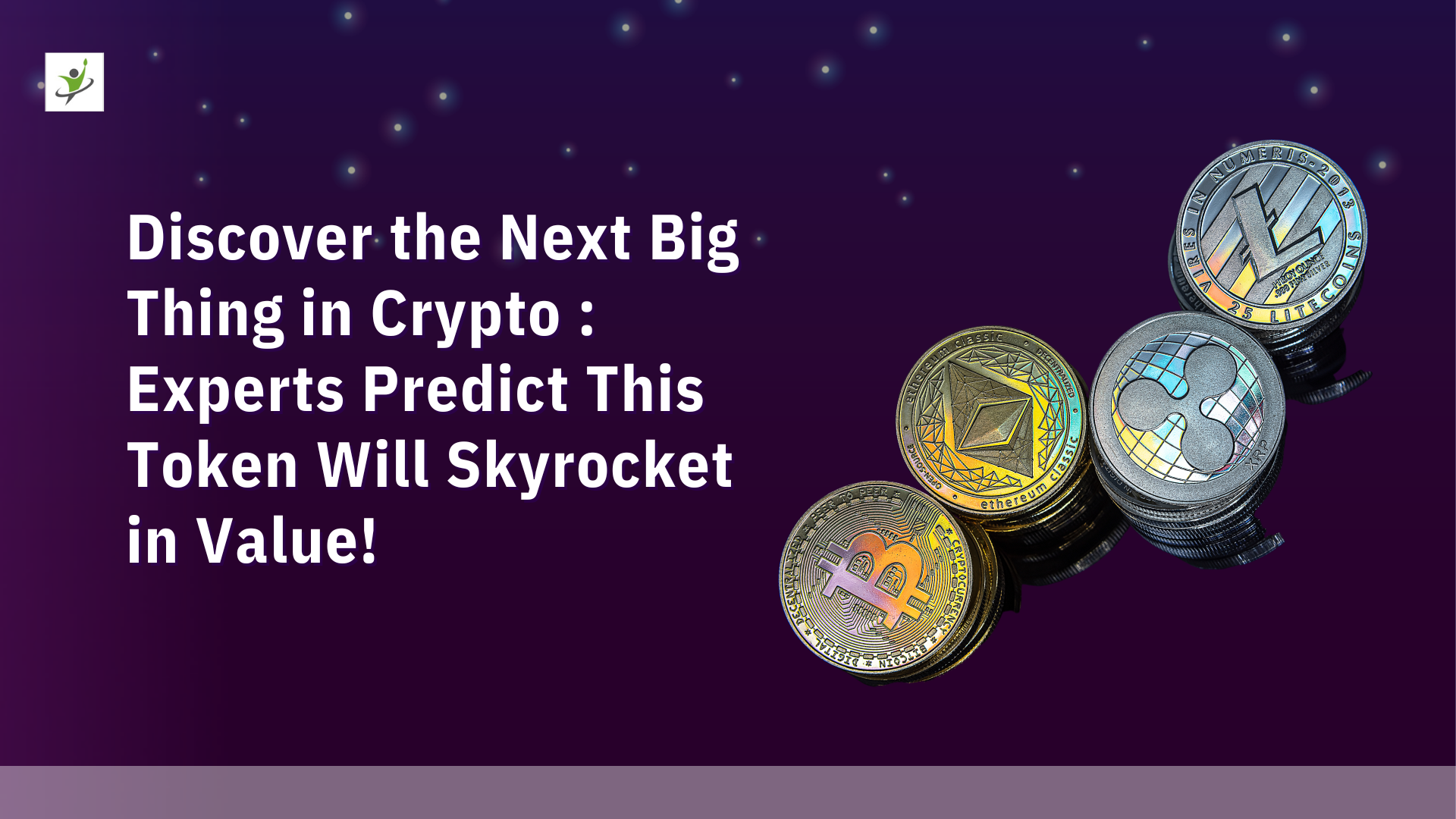 Discover the Next Big Thing in Crypto