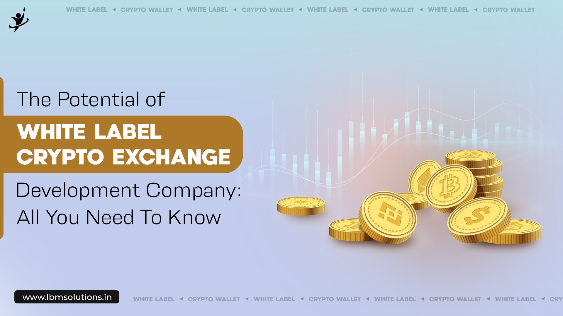 White Label Crypto Exchange Development Company